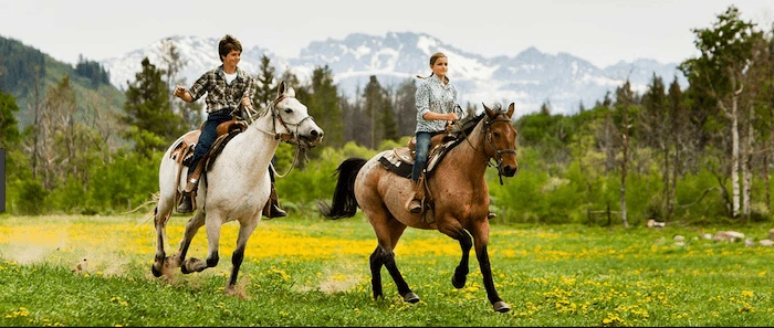 Confident plus-size woman riding Chipping Norton a horse through a field with a smile on her face.